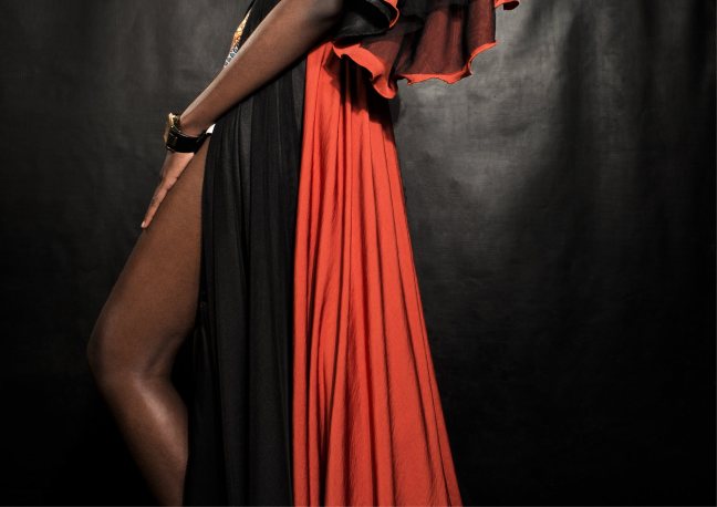 14232050_1719215165008863_7202848023340075425_o